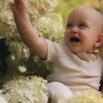 cee01f2d 2ff6 4ba3 ab4b cc1c79744d3a