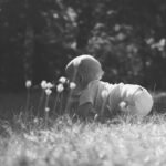 f85fcf3a 57cf 4db7 b276 2d27abdcfe67